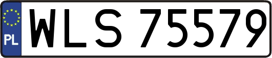 WLS75579