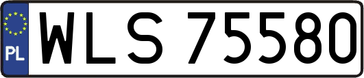 WLS75580