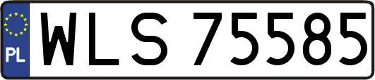 WLS75585