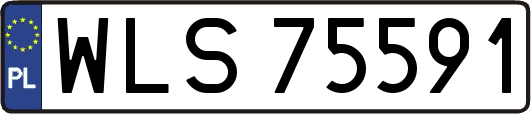 WLS75591