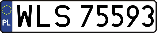 WLS75593