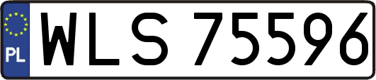 WLS75596
