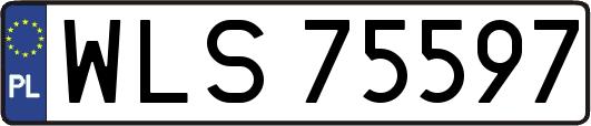 WLS75597