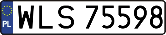 WLS75598