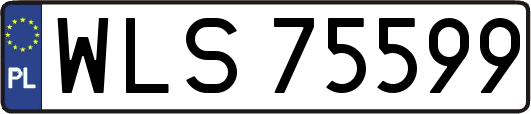 WLS75599
