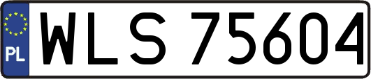 WLS75604