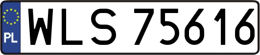 WLS75616