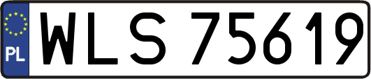 WLS75619