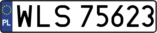 WLS75623