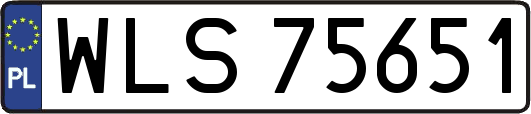 WLS75651