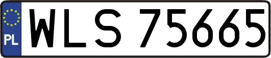 WLS75665