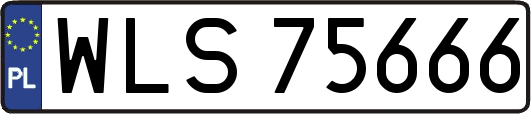 WLS75666