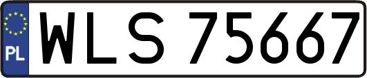 WLS75667
