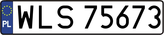 WLS75673