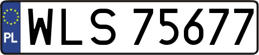 WLS75677