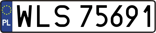WLS75691