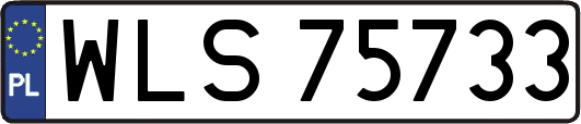 WLS75733