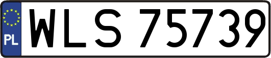 WLS75739