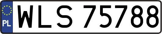 WLS75788