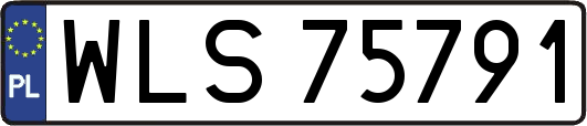 WLS75791