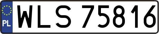WLS75816