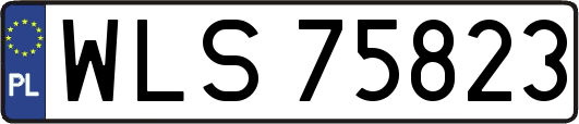 WLS75823