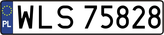 WLS75828
