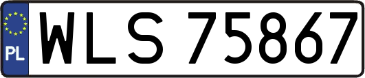 WLS75867