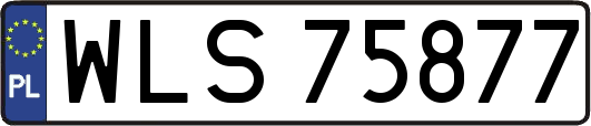 WLS75877