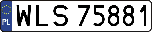 WLS75881