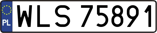WLS75891