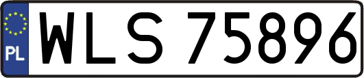 WLS75896