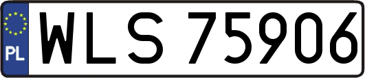 WLS75906