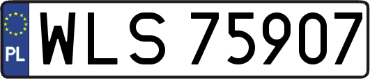 WLS75907