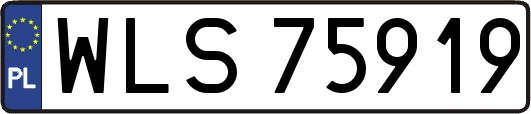 WLS75919