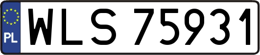 WLS75931