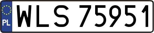 WLS75951