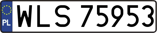 WLS75953