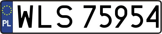 WLS75954