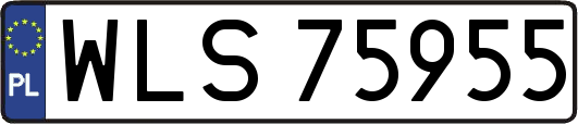 WLS75955