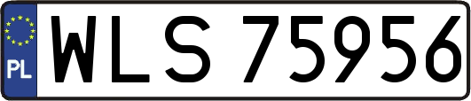 WLS75956