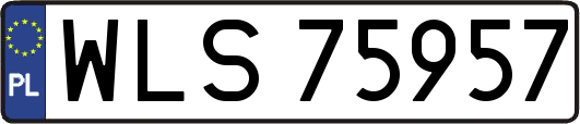 WLS75957