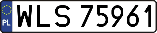 WLS75961