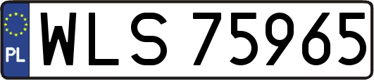 WLS75965