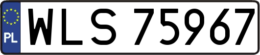 WLS75967