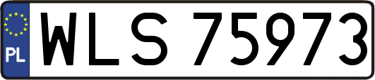 WLS75973