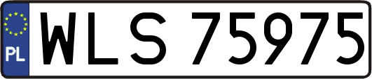 WLS75975