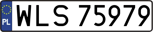 WLS75979