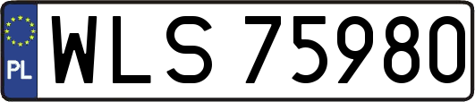 WLS75980