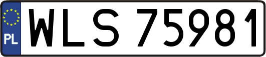 WLS75981
